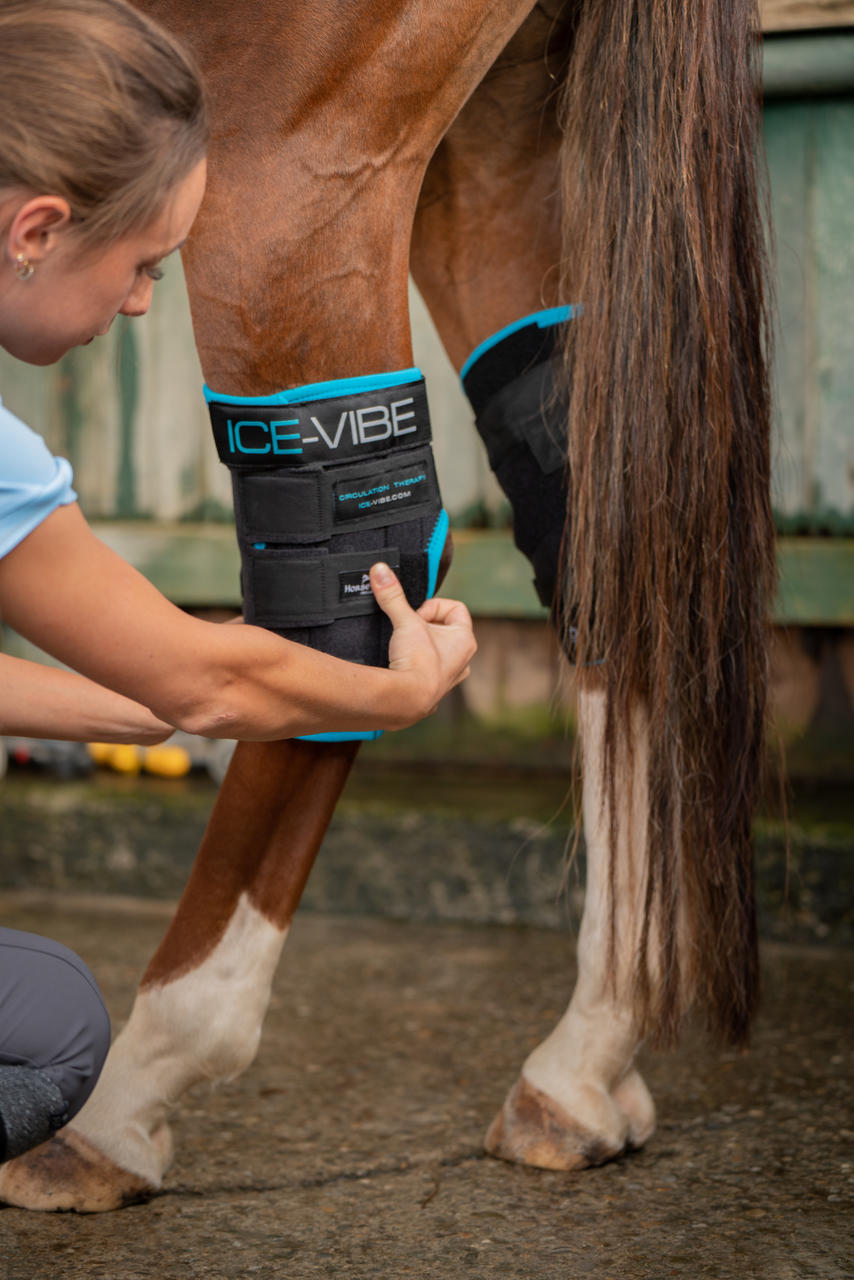 Horseware Ice-Vibe Hock Wrap