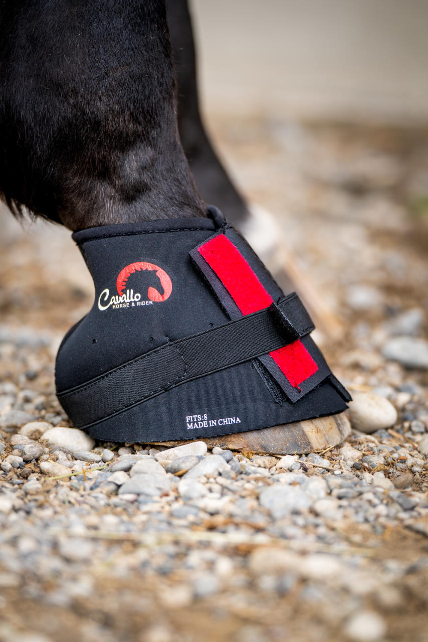 F.R.A. Cavallo Pastern Wrap Bandage Neopren