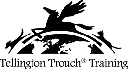 LindaTellingtonTtouch_Logo