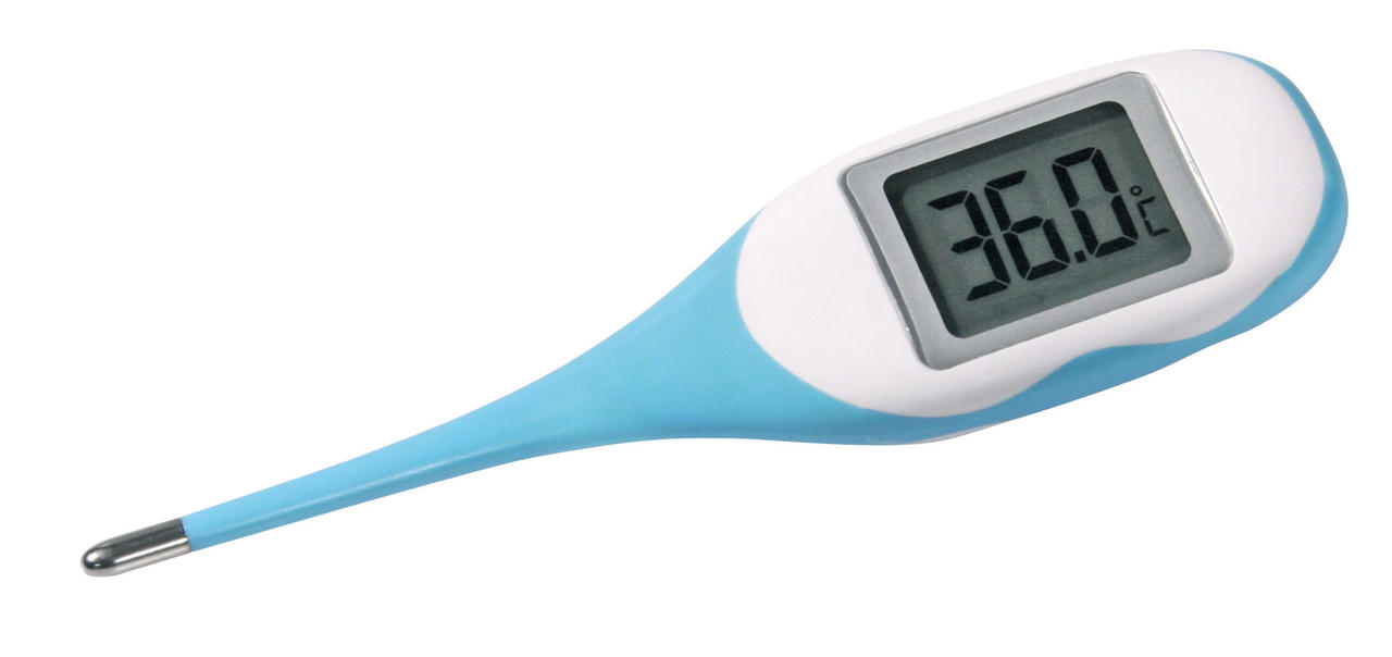 Kerbl Fieberthermometer digital BigScreen