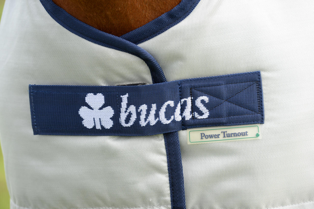 Bucas Power Turnout Light