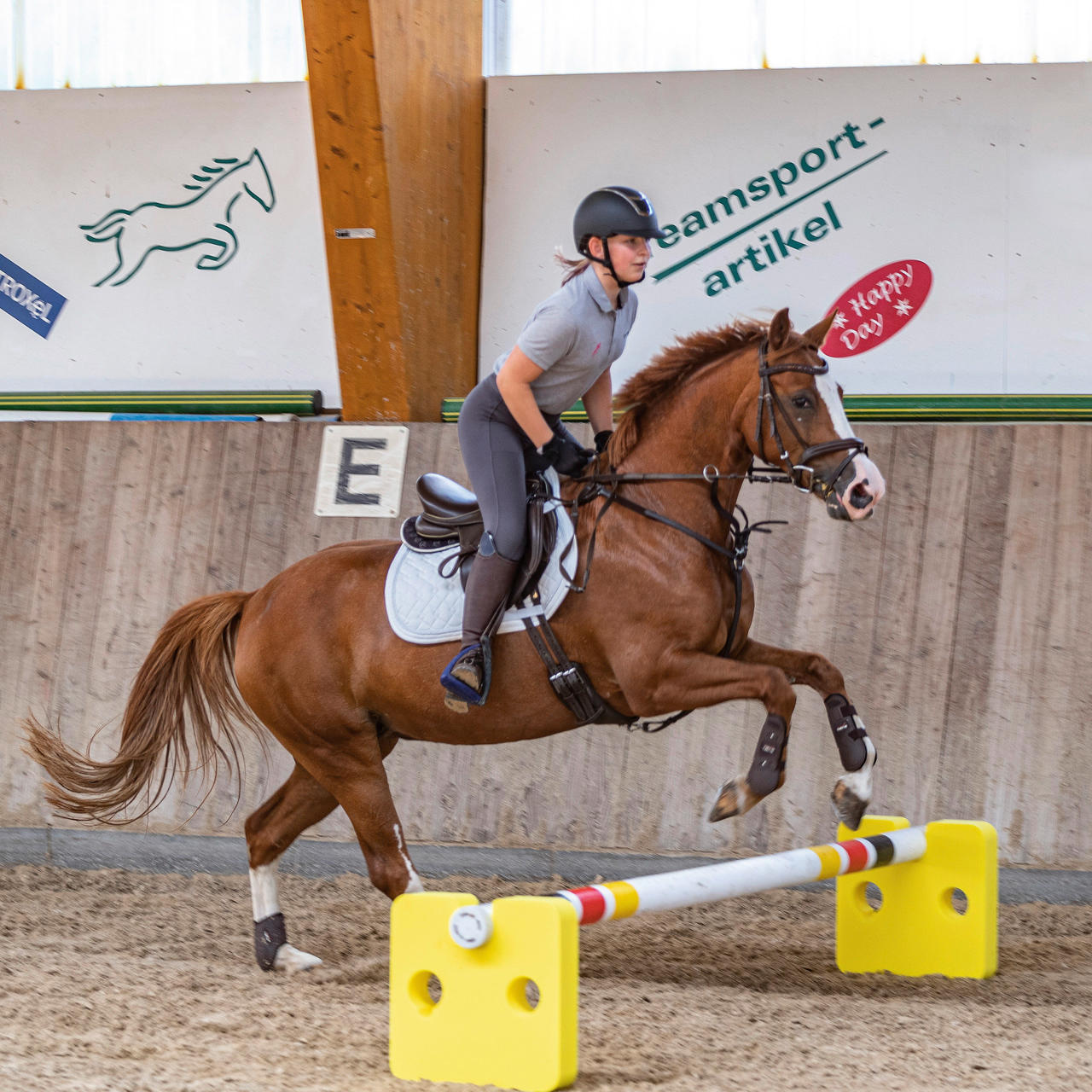 USG Agility Cavaletti Block