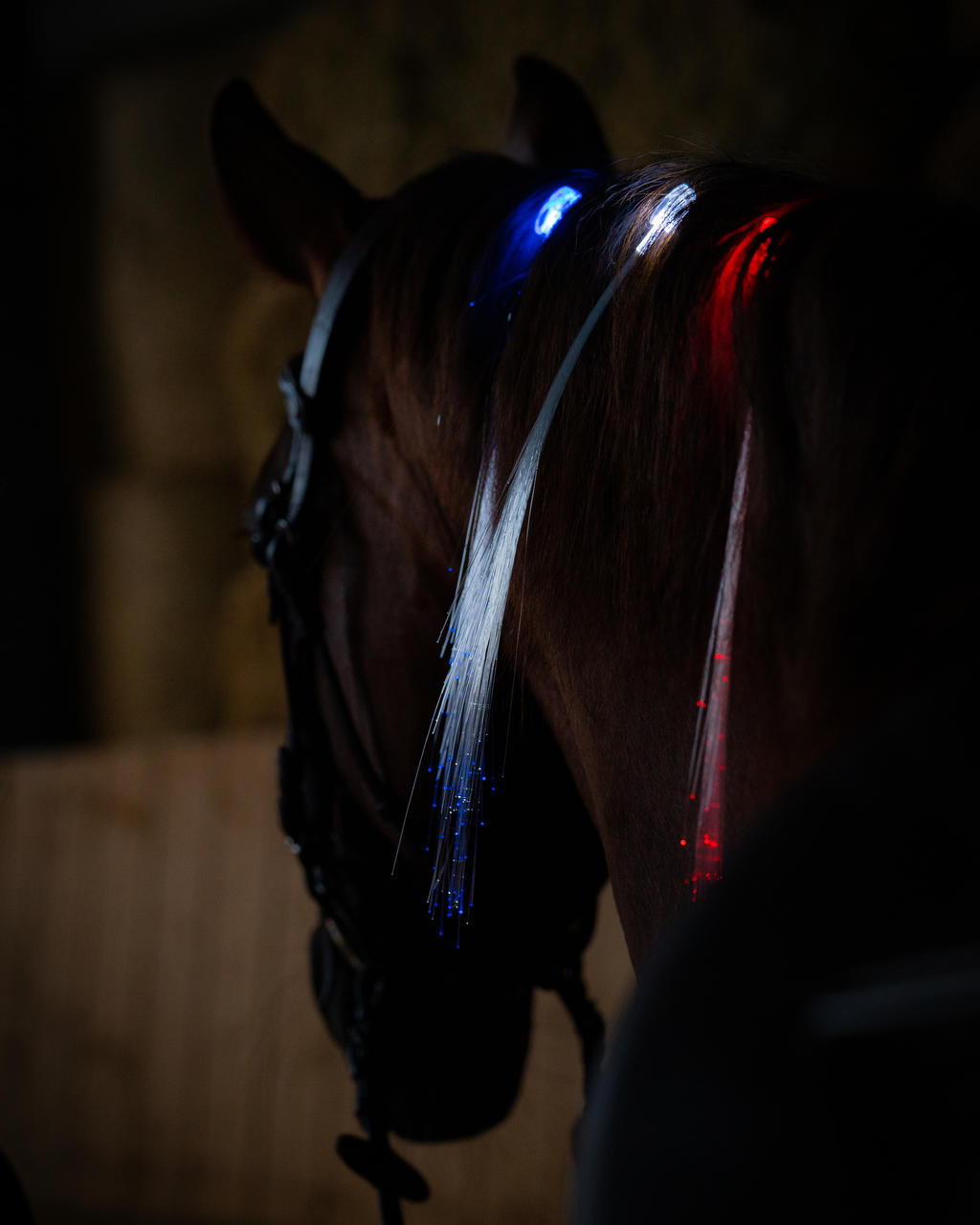 USG LED-Haar Clips für die Mähne