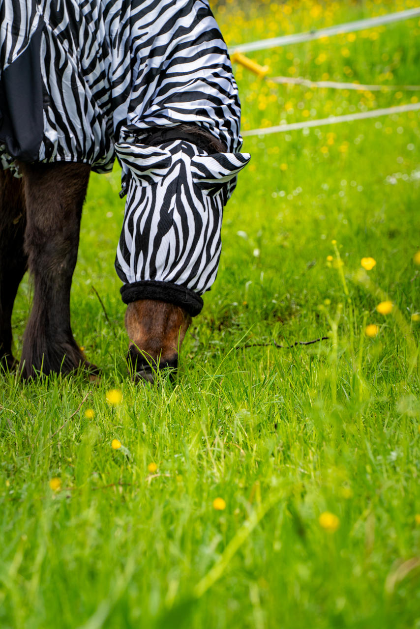 Waldhausen Fliegenmaske Zebra