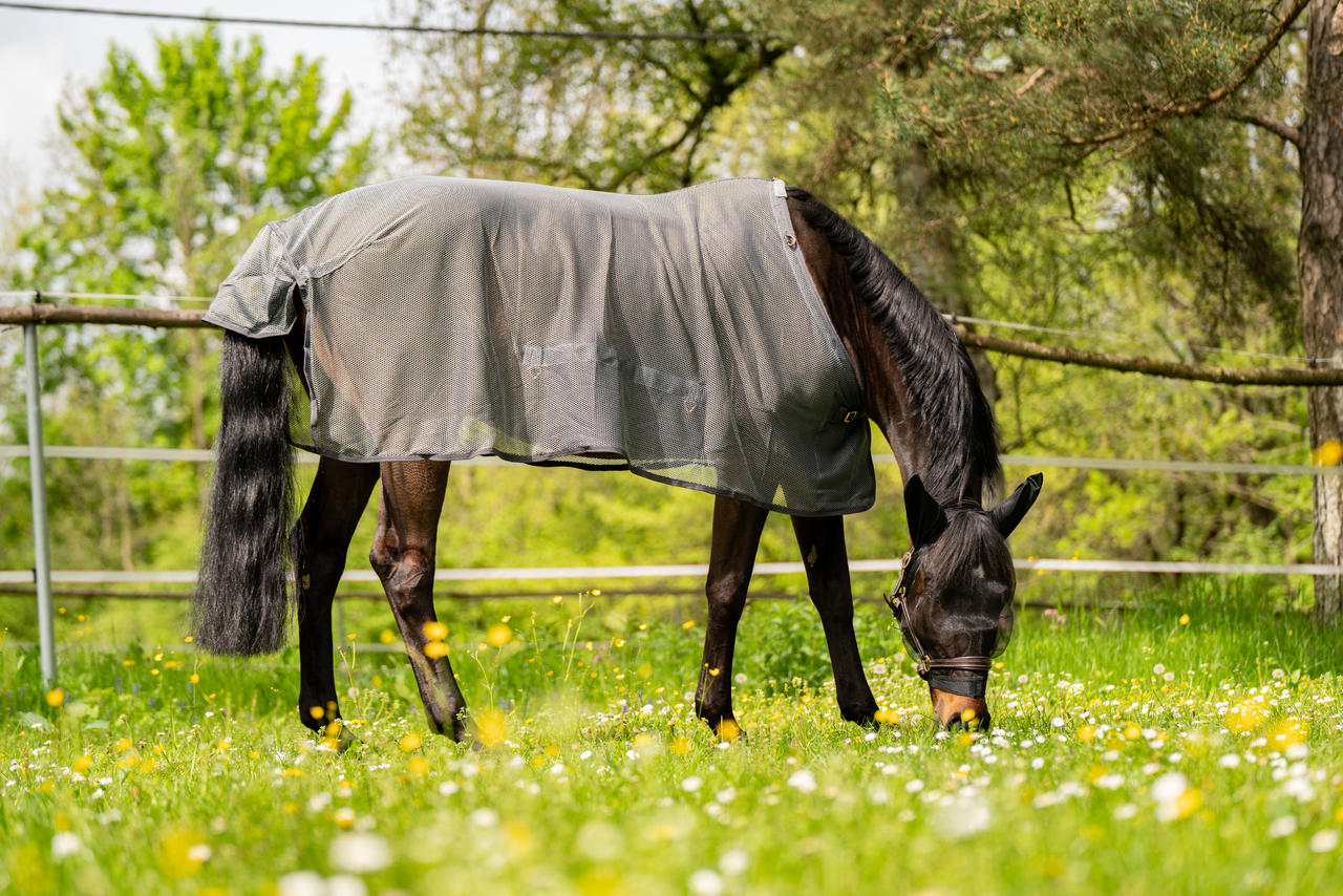 Waldhausen Fliegenmaske Skinny