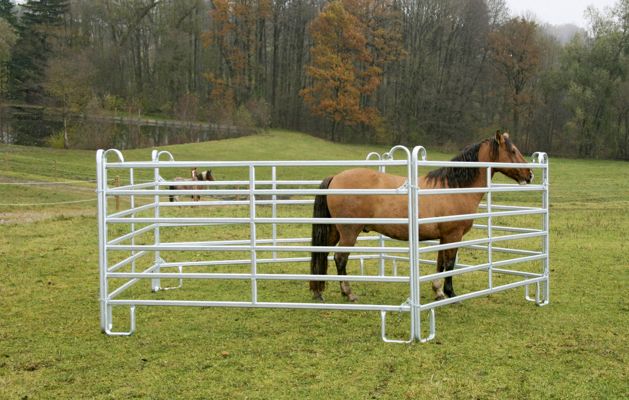 WAHL-Hausmarke Panel 3,6 m Länge, 1,7 m Höhe, Standard