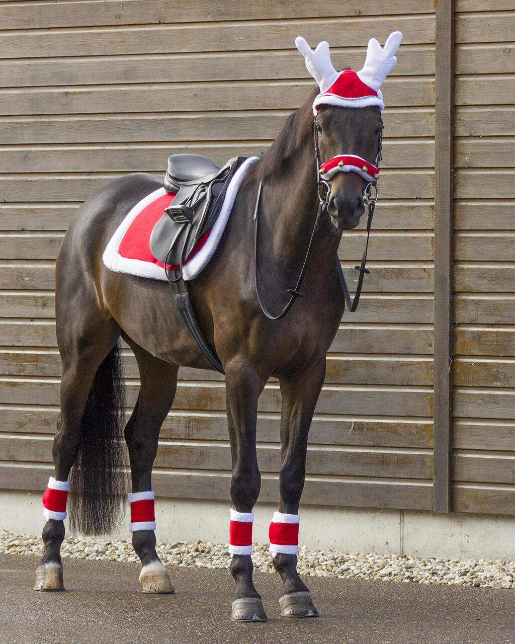 QHP Weihnachts-Schabracke