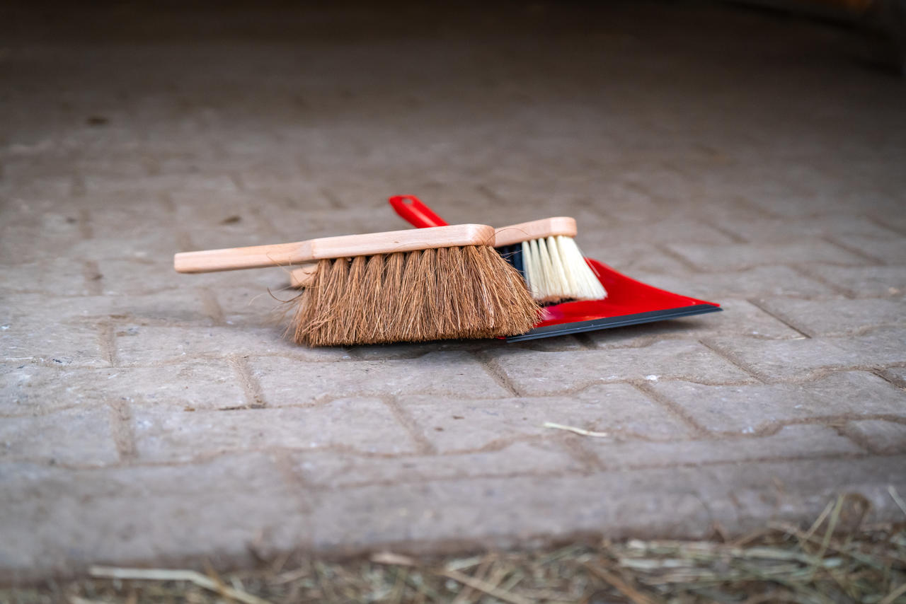 Bürsten Walter HANDKEHRBESEN Naturfaser