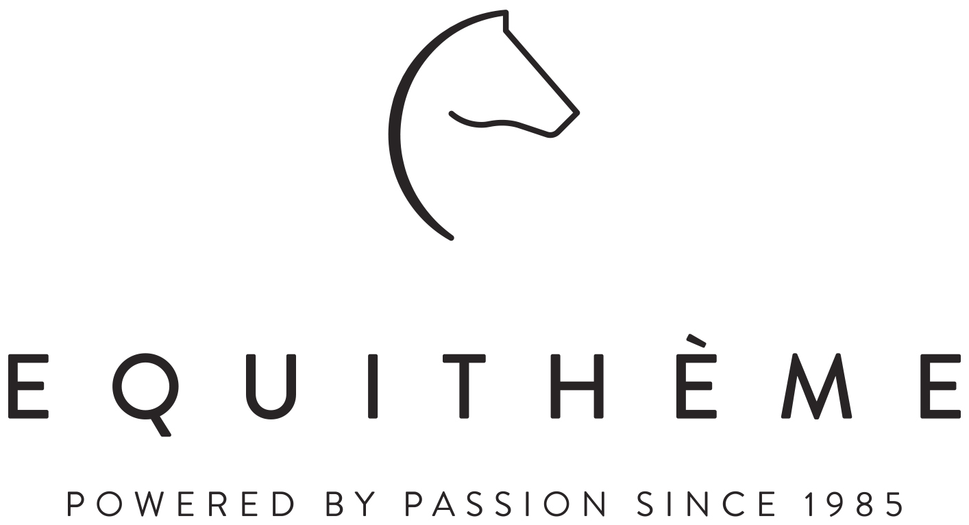 equitheme_logo