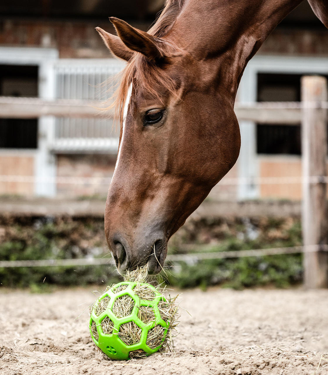 Waldhausen Heuball