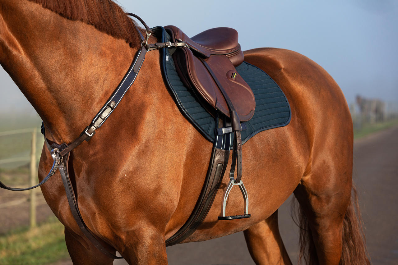 Horseware Rambo Micklem Martingale