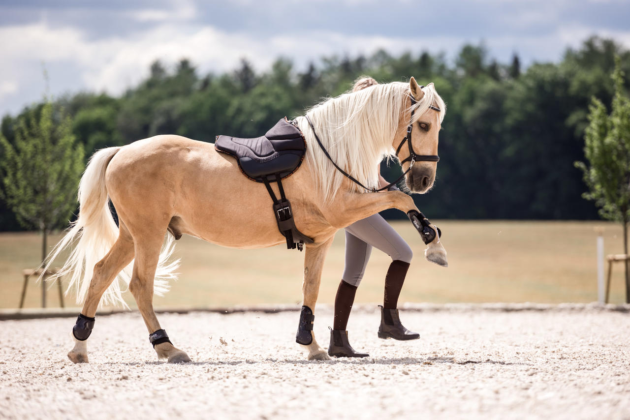 Suedwind Stiefelette Ultima FZ