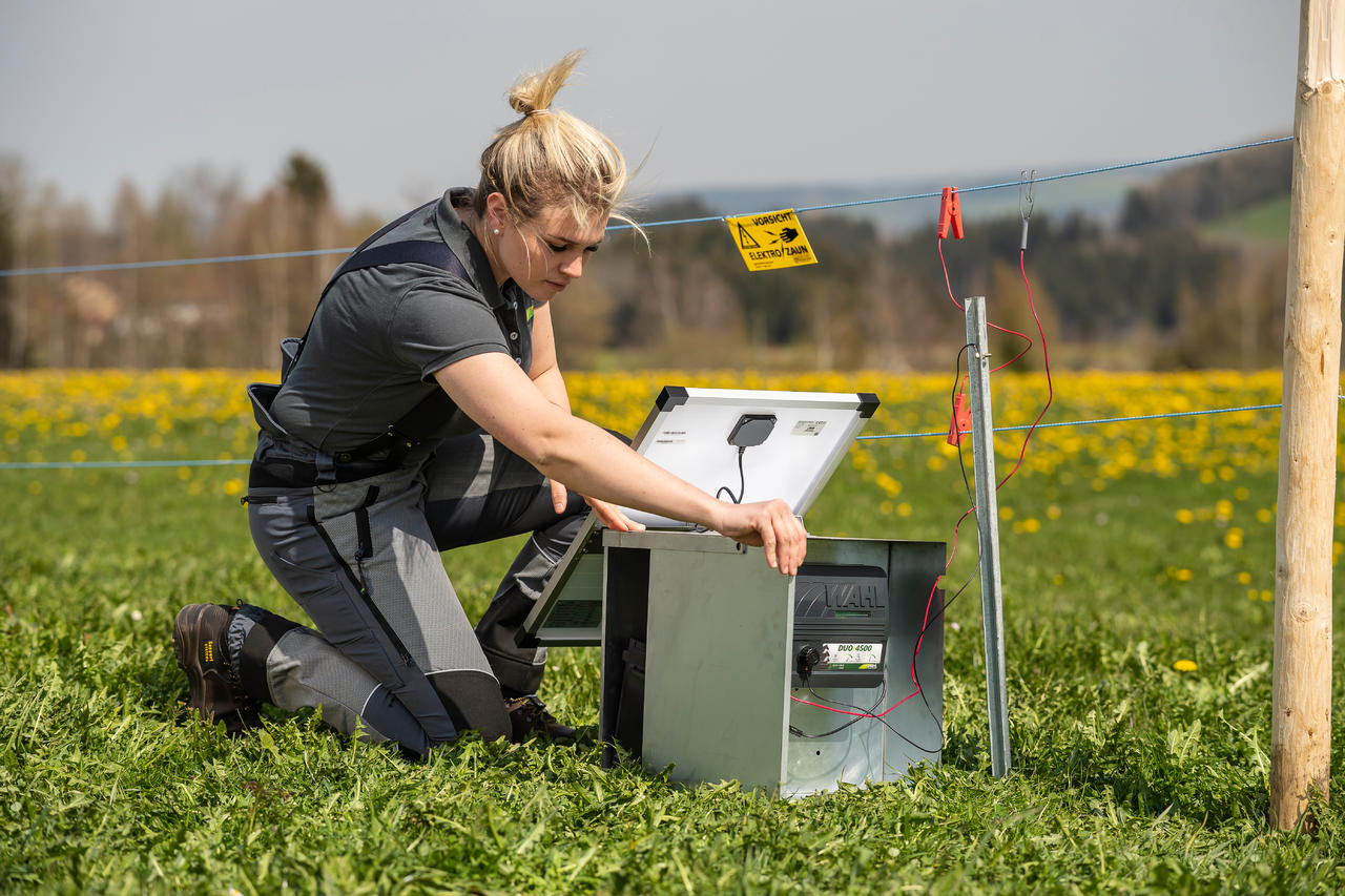 AKO Solarpanel 25W passend f. Weidezaungerät