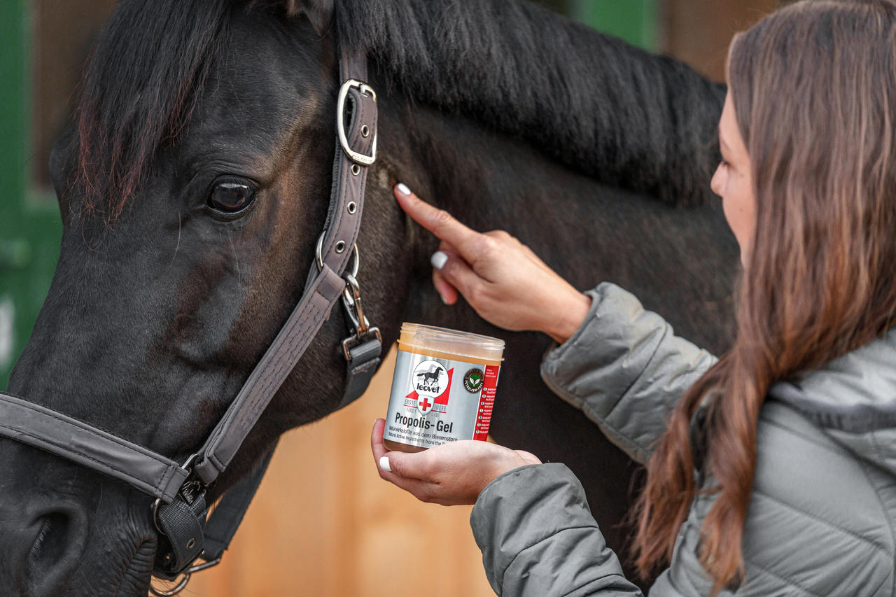 leovet ERSTE HILFE Propolis Gel