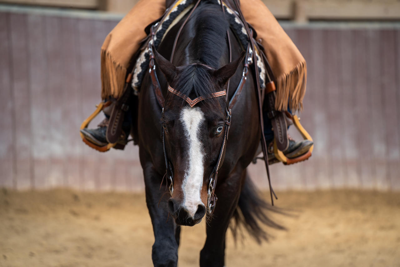 Westerntrenszaum Flechtmuster