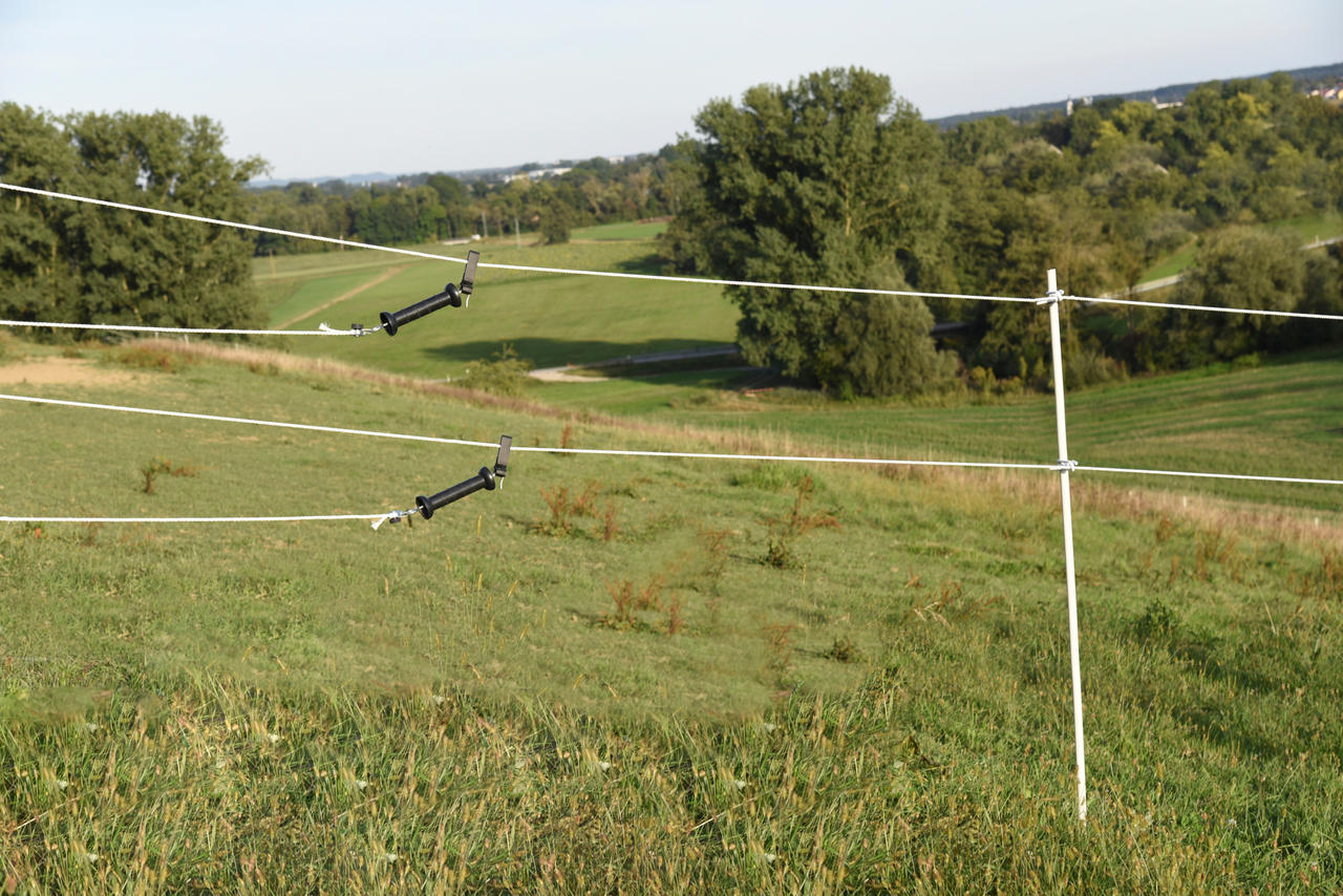 AKO Fence Clip 8 Stück im Blister 