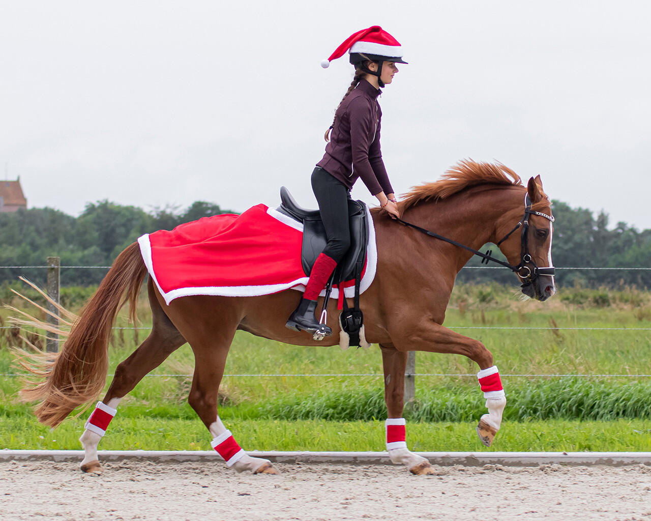 QHP Weihnachts-Ausreitdecke