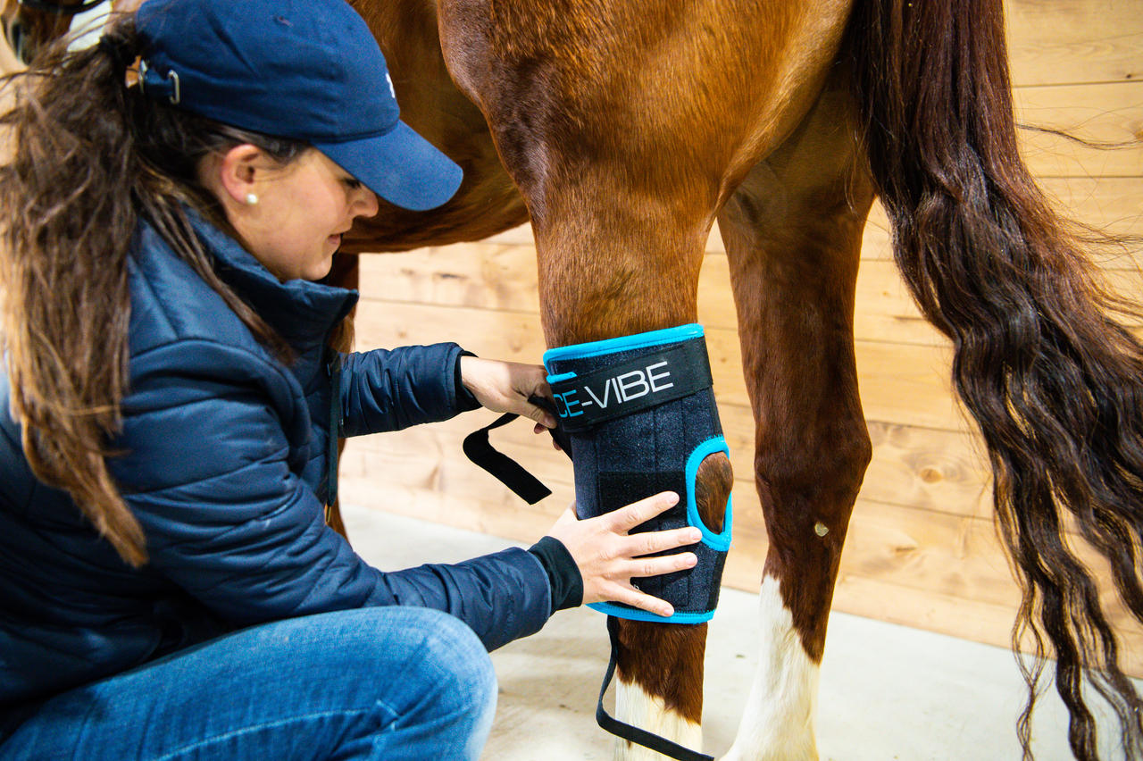 Horseware Ice-Vibe Hock Wrap