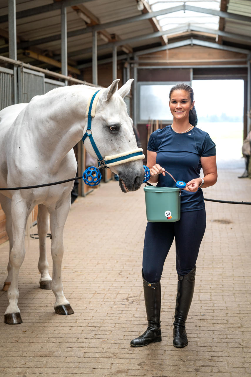 Hippotonic Kunststoffschutzball für Anbinder