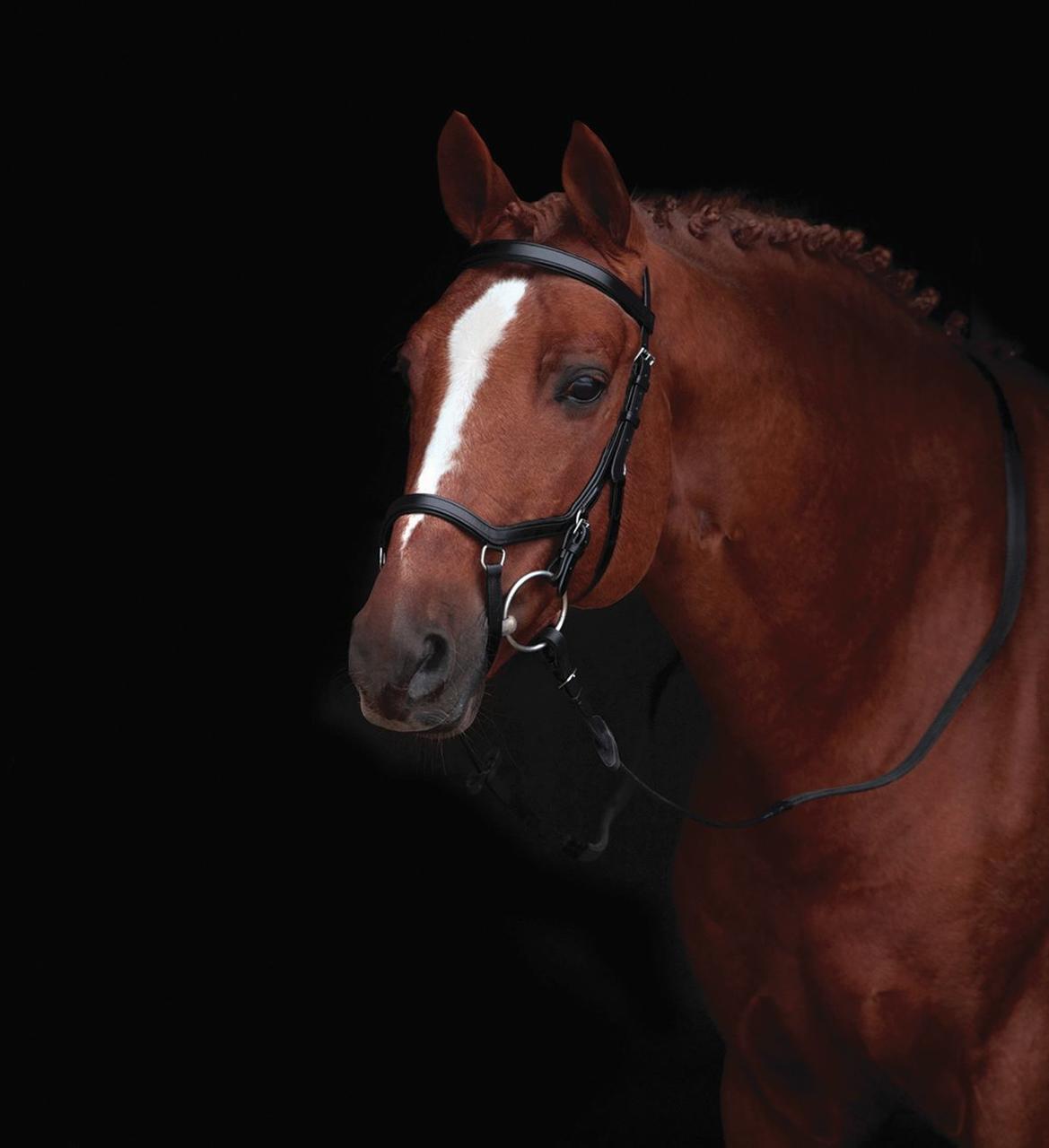 Horseware Rambo Micklem Original Competition