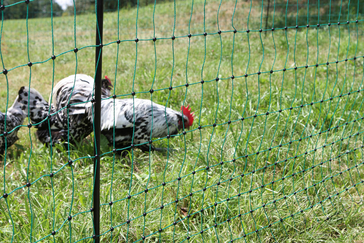 Kerbl PoultryNet Hühnerzaun 106cm, 15m lang