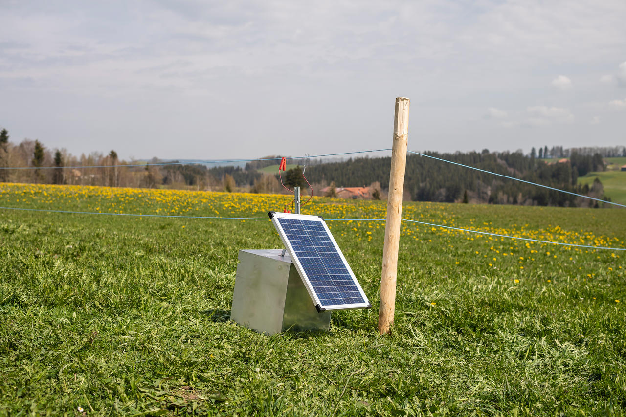 AKO Solarpanel 25W passend f. Weidezaungerät