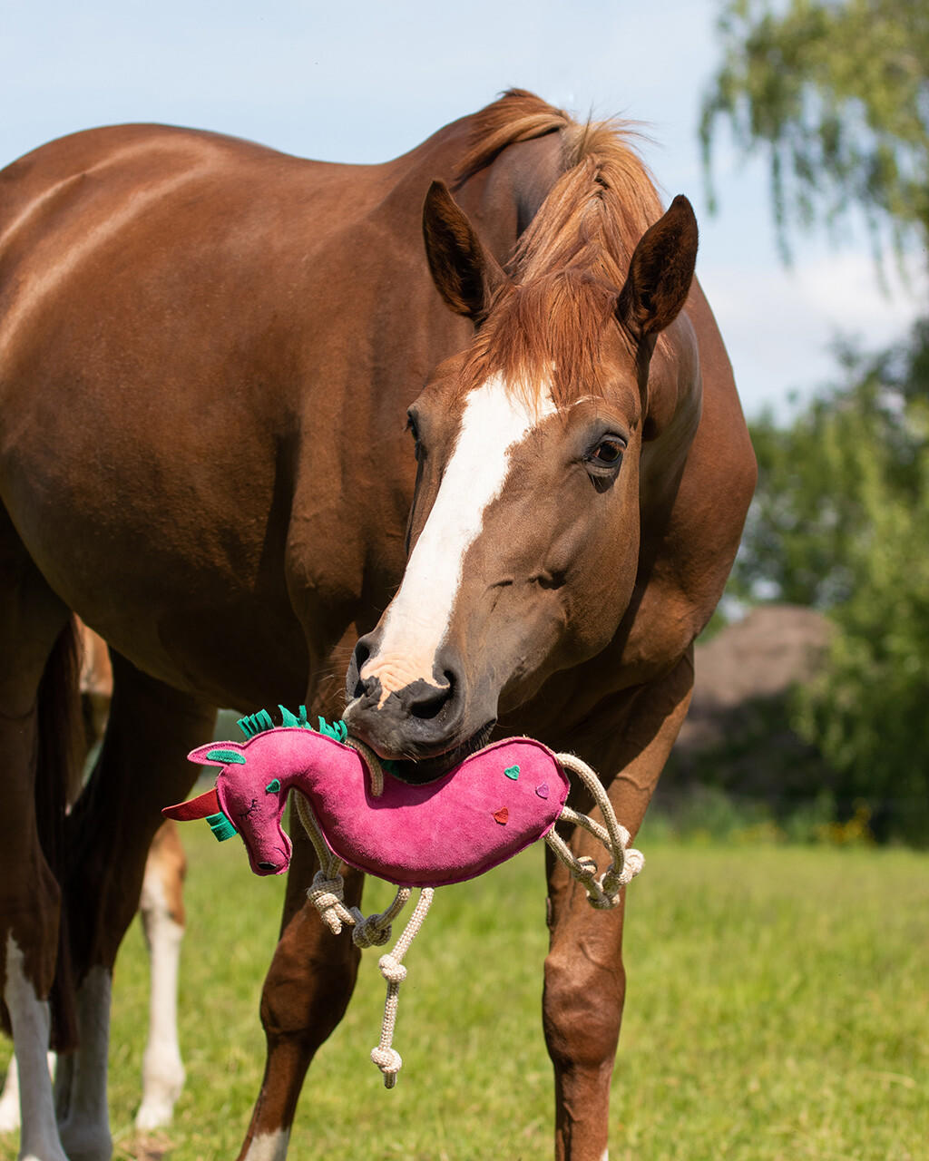 QHP Pferdespielzeug Unicorn