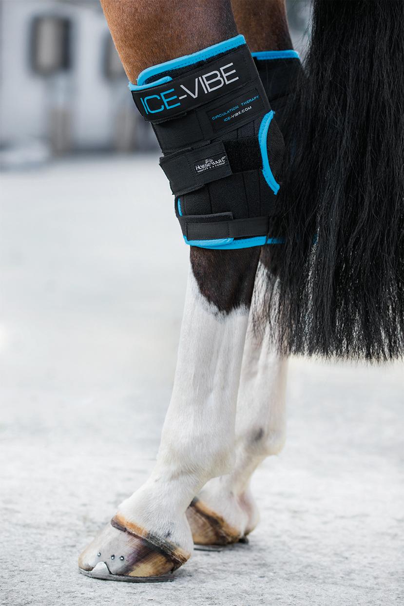 Horseware Ice-Vibe Hock Wrap