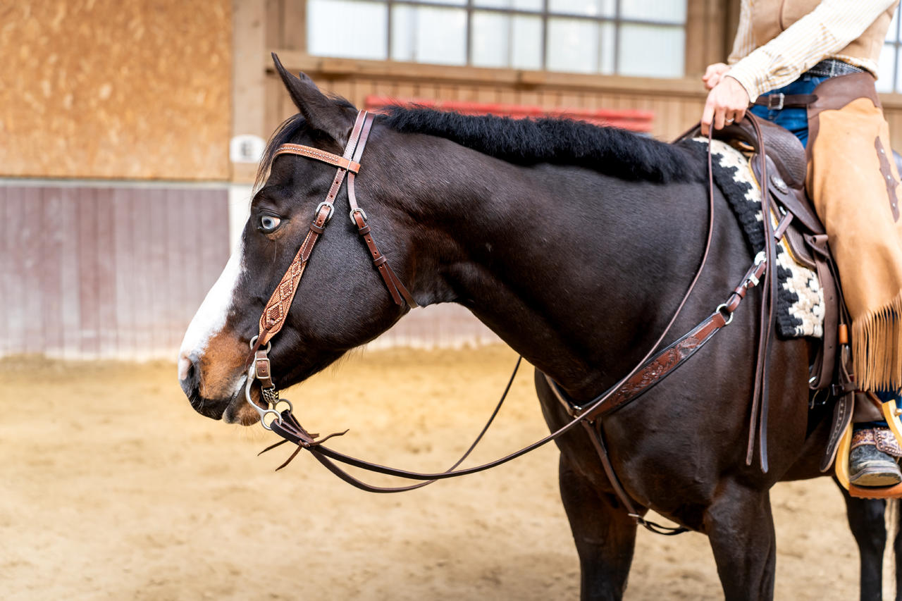 Harness Reins 5/8 x 7'