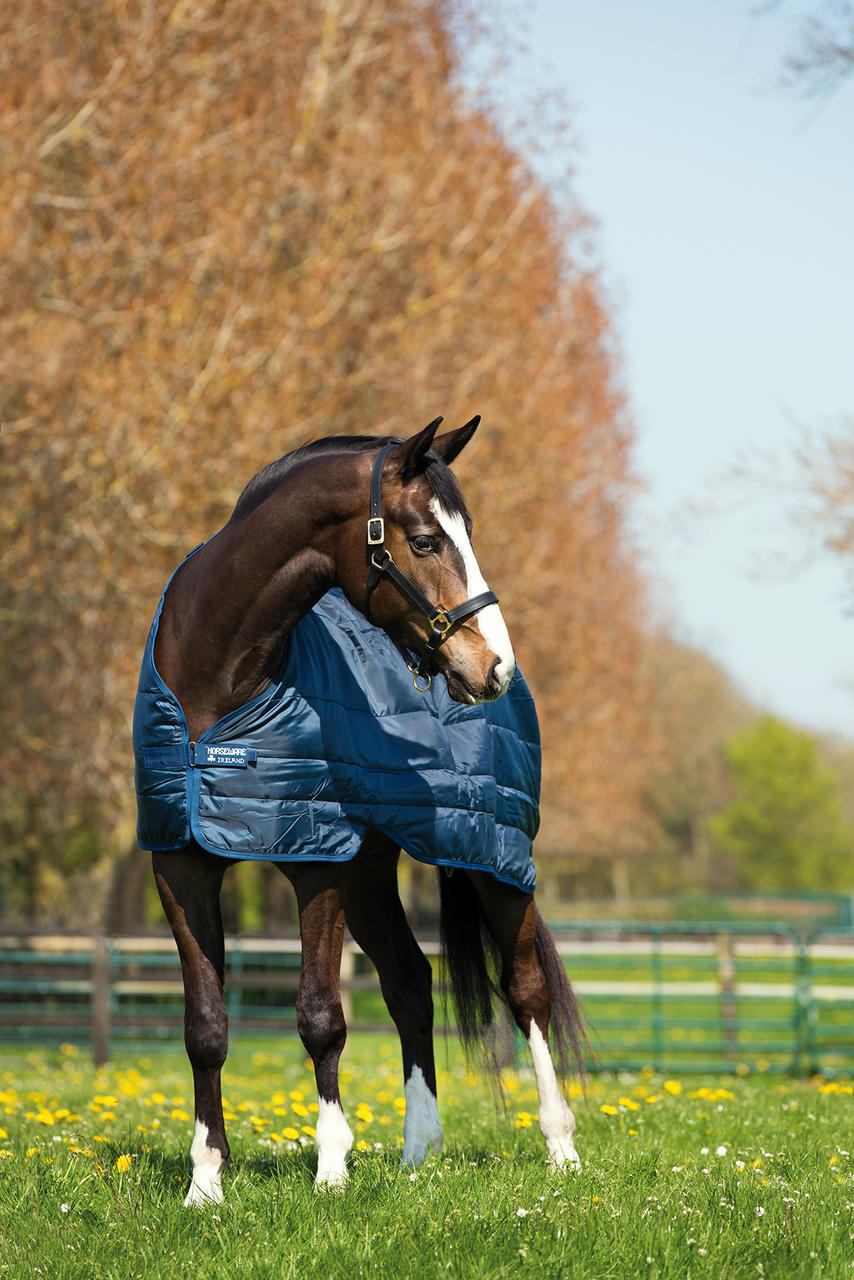 Horseware Liner Unterdecke 200g