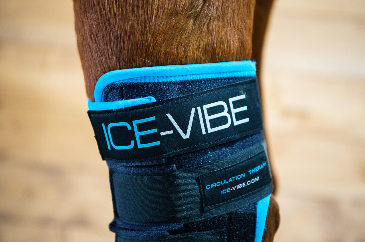 Horseware Ice-Vibe Hock Wrap