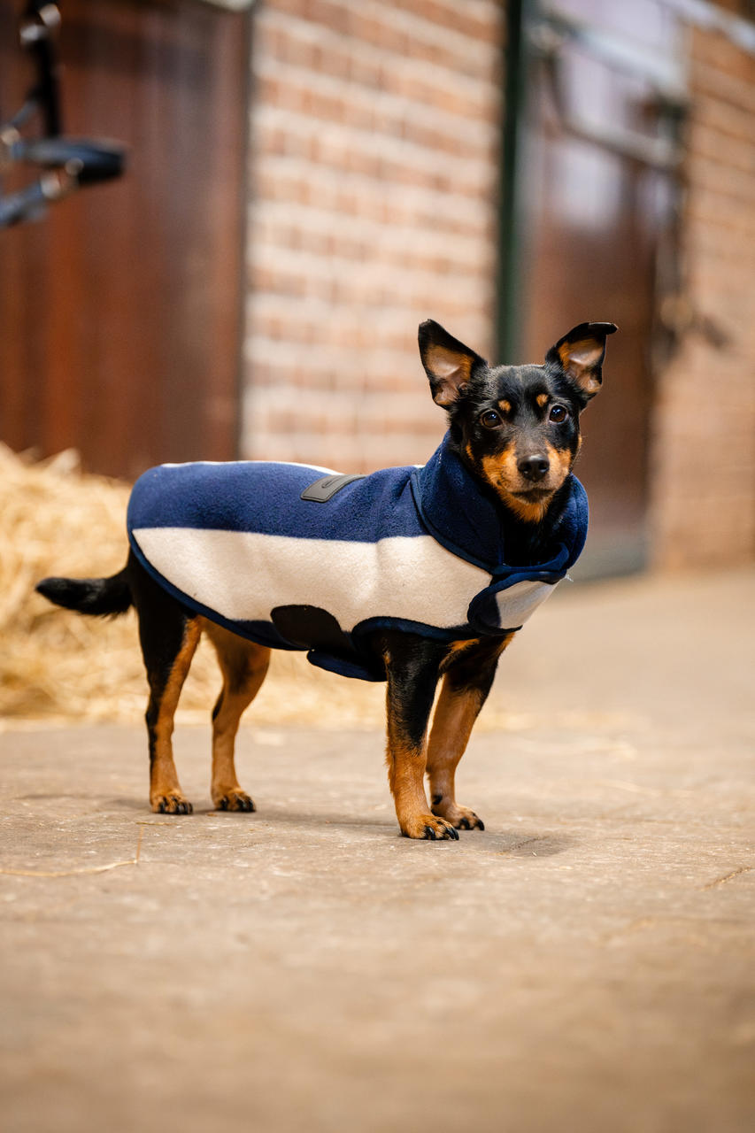 Horseware Signature Dog Fleece