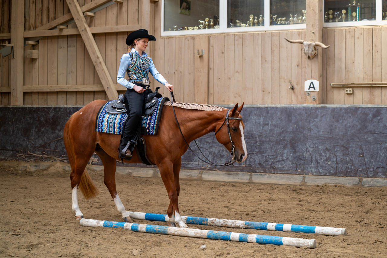 Harness Reins 1/2 x 7'