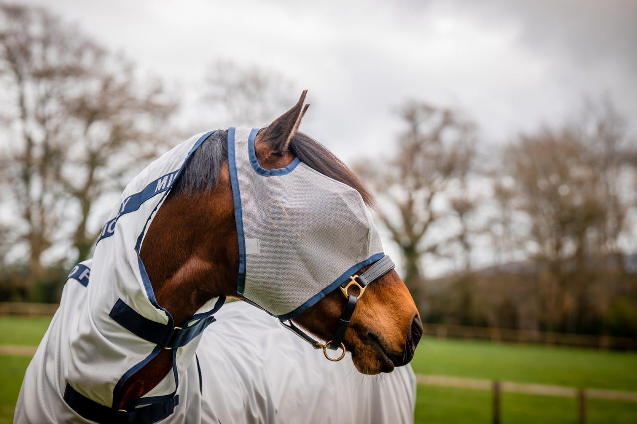 Horseware Mio Flymask W/O Ears